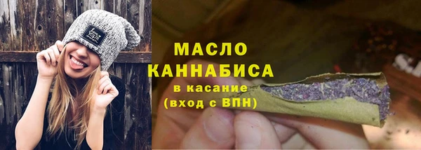 гидра Елабуга