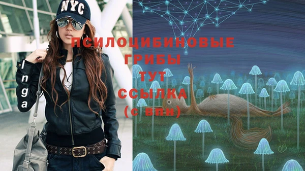 мяу мяу мука Дмитров