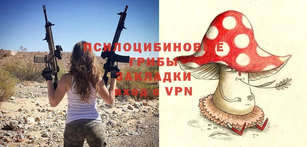 Альфа ПВП Елизово