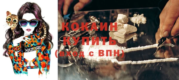 гидра Елабуга