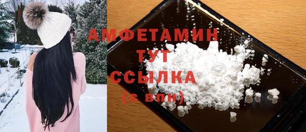 гидра Елабуга