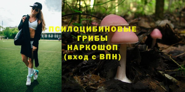 меф Дмитриев