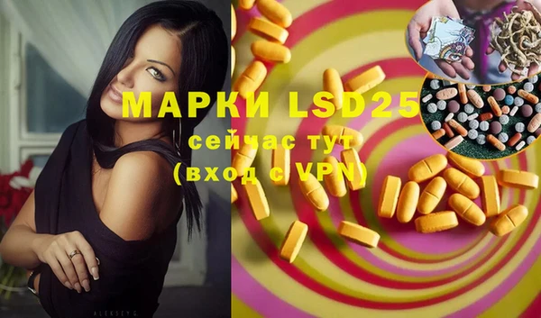 мяу мяу мука Дмитров