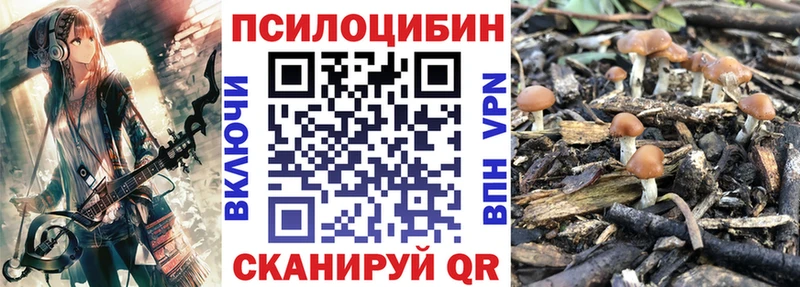 KRAKEN сайт это наркотические препараты Псилоцибиновые грибы прущие грибы Зеленокумск